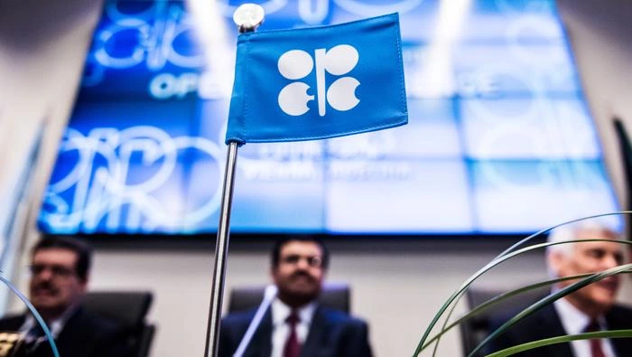 OPEC+ picture